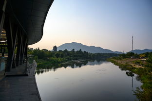 浙江湖州旅游好去處 安吉竹博園,夜游竹林秘境你一定沒(méi)體驗(yàn)過(guò)